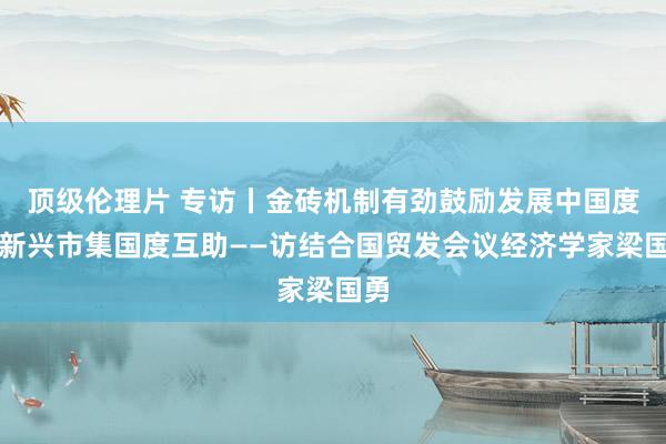 顶级伦理片 专访丨金砖机制有劲鼓励发展中国度和新兴市集国度互助——访结合国贸发会议经济学家梁国勇
