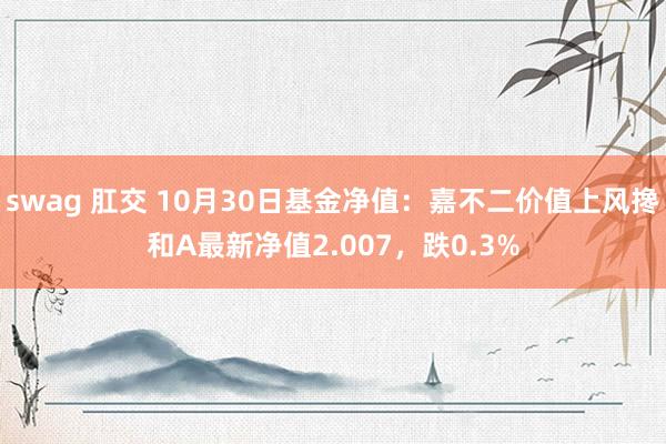 swag 肛交 10月30日基金净值：嘉不二价值上风搀和A最新净值2.007，跌0.3%