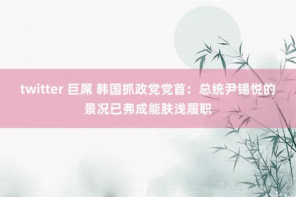 twitter 巨屌 韩国抓政党党首：总统尹锡悦的景况已弗成能肤浅履职