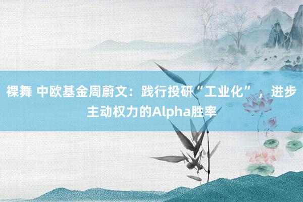 裸舞 中欧基金周蔚文：践行投研“工业化” ，进步主动权力的Alpha胜率