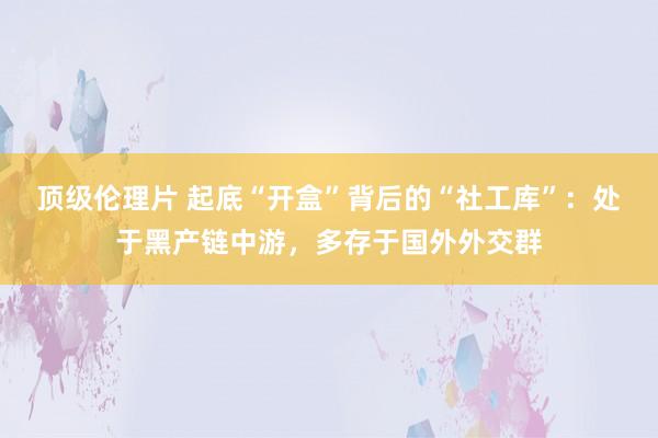 顶级伦理片 起底“开盒”背后的“社工库”：处于黑产链中游，多存于国外外交群