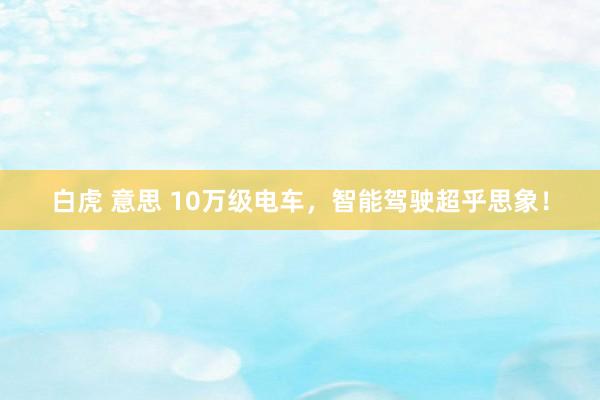 白虎 意思 10万级电车，智能驾驶超乎思象！